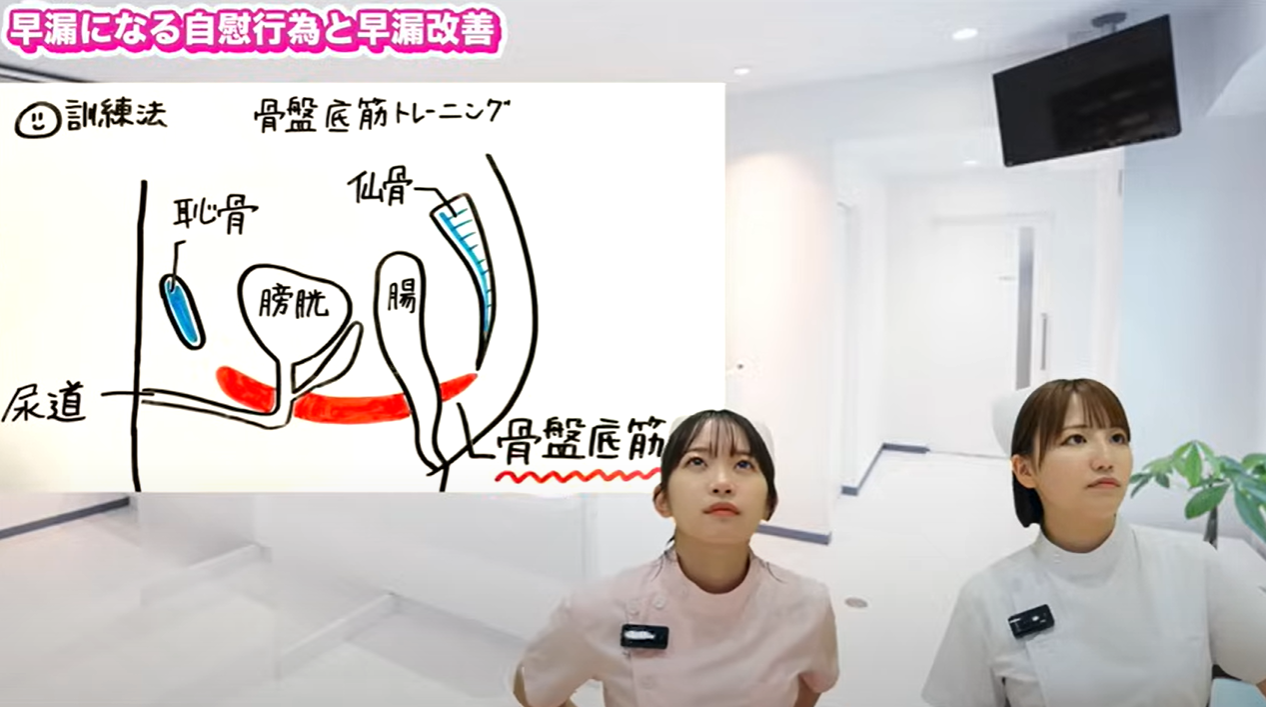 骨盤底筋トレーニング